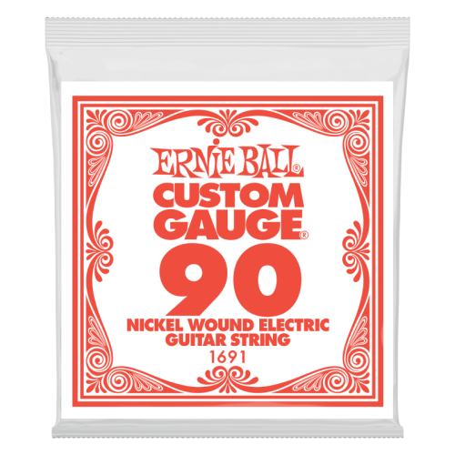 ERNIE BALL P01691