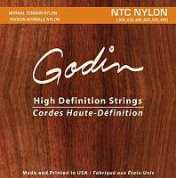 Godin 9350 NTC Nylon