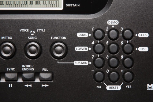 Kurzweil KP70 LB фото 4